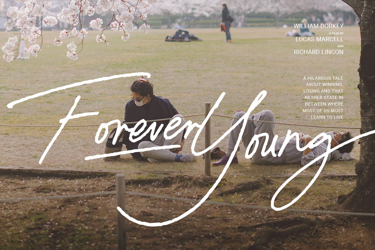 Paradine - Ligature Handwritten Font, a Handwritten Font by Sarid Ezra (Photo 5 of 12)