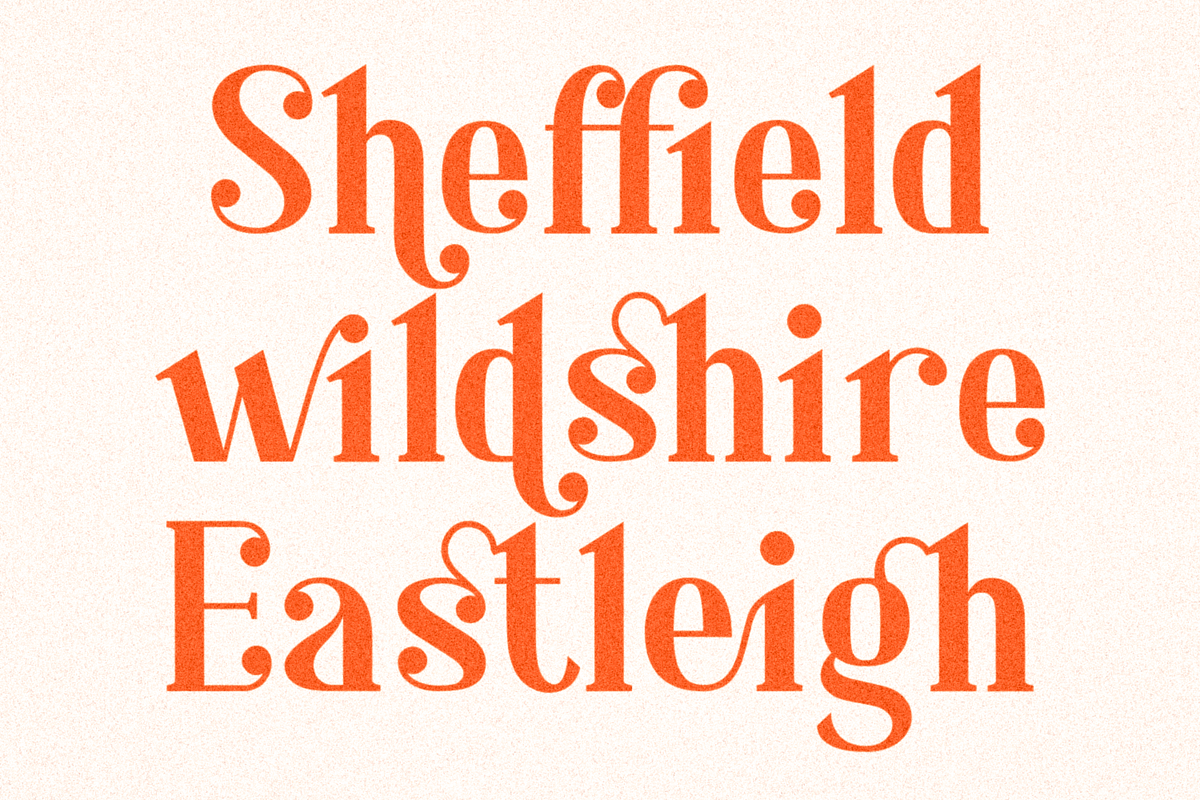 Shafira, a Serif Font by Umitype (Photo 5 of 16)
