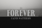 Phantoms - Condensed Vintage Serif, a Serif Font by Almeera Std (Thumbnail 3 of 6)