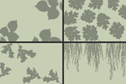 50 plants shadows, a Mockup by AnastasiyaOleynik (Thumbnail 10 of 14)