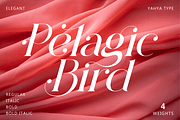 Pelagic Bird - Unique Ligature Font, a Serif Font by Yahya Type (Thumbnail 2 of 22)