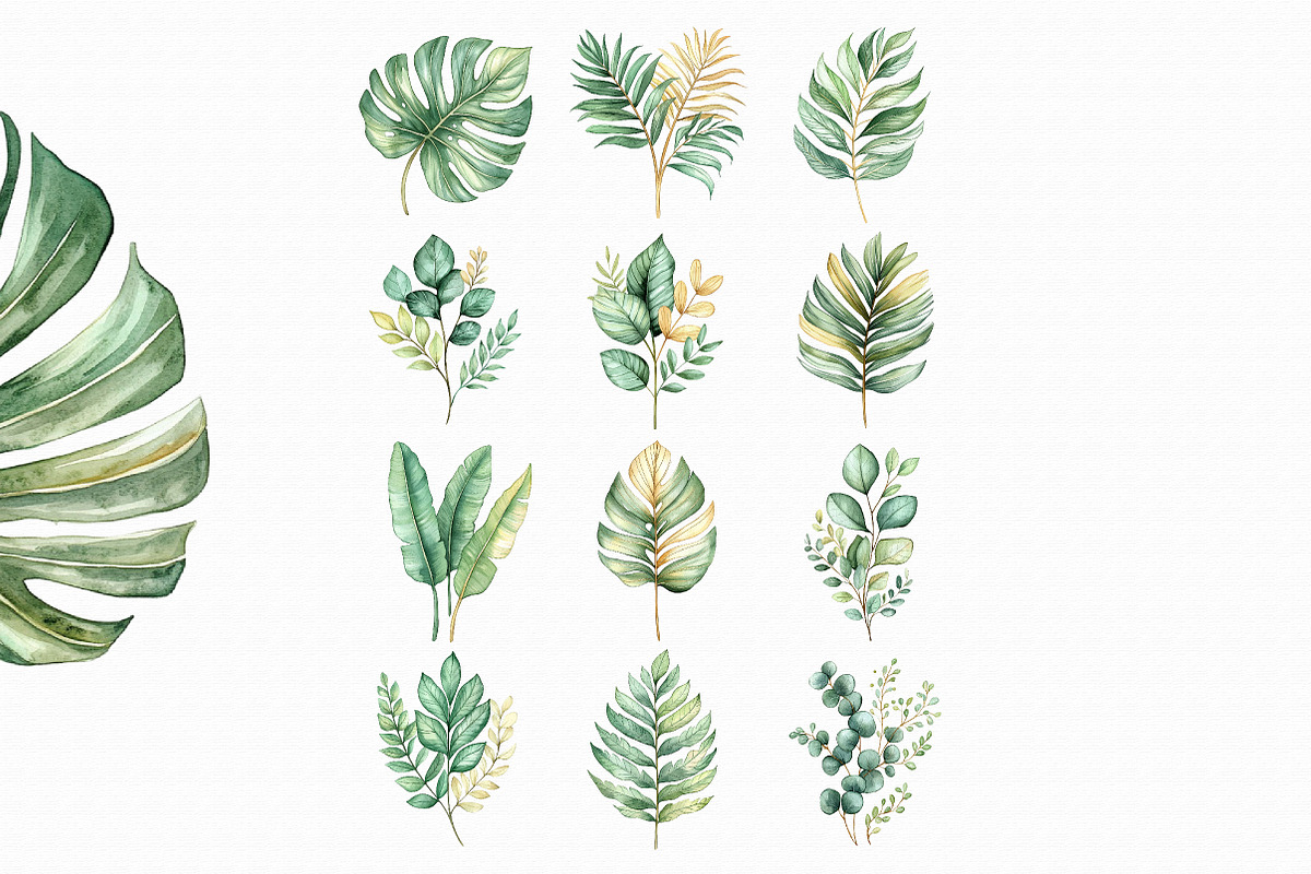 Watercolor Tropical Leaf Clipart, an Illustration by Libby Wishes (Photo 3 of 4)