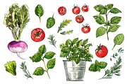 Food watercolor. Vegetables, a Food Illustration by irina.vaneeva (Thumbnail 18 of 25)