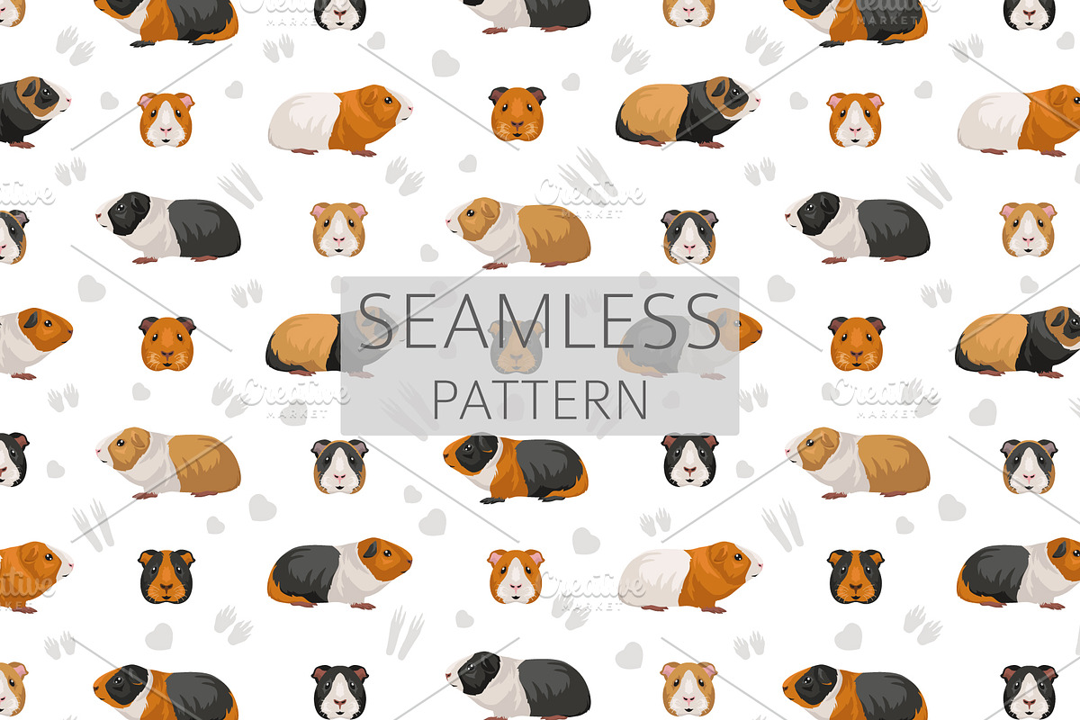 American Guinea Pig clipart, an Animal Illustration by pet design shop (Photo 5 of 5)