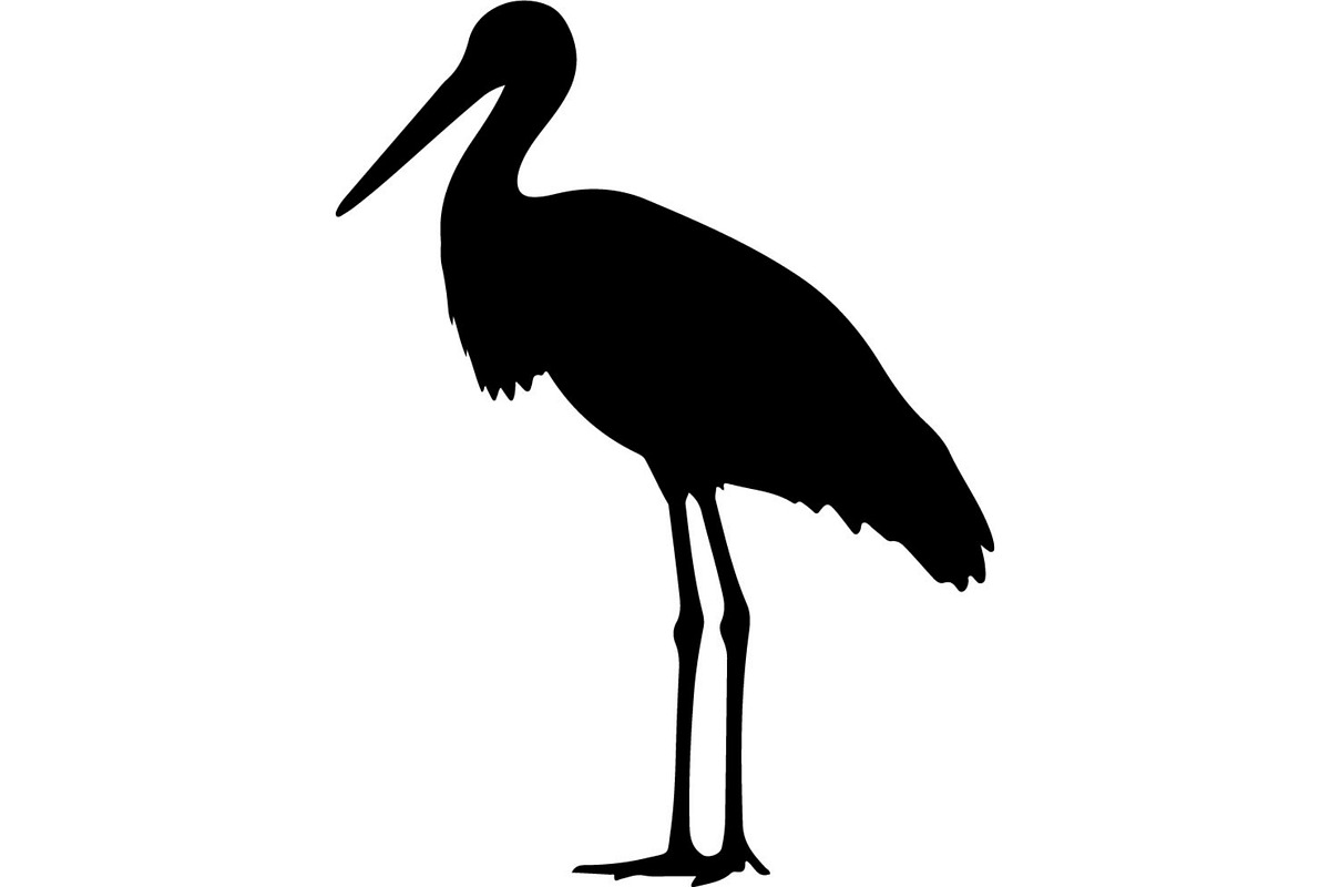 Forest Sky Birds Illustration Vector, an Animal Illustration by Designer_Momina (Photo 2 of 21)