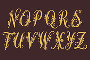 WynsteraQalis Decorative Floral font, a Script Font by HypeWorksCo (Thumbnail 22 of 24)