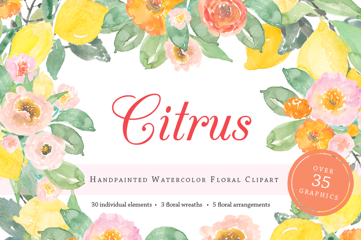 Citrus Watercolor Clipart, an Illustration by Emerald & Ivy Studios (Photo 1 of 4)