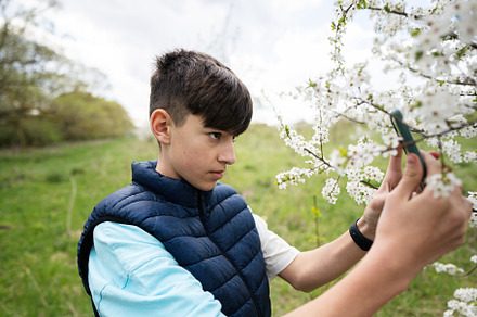 Teen boy takes a photo of a flowering tree on his phone., a Person Photo by AS photostudio