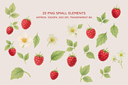 Raspberry Clipart & Patterns Bundle, a Food Illustration by MuzaArtStudio (Thumbnail 11 of 14)