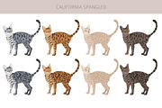 California Spangled Cat clipart set, an Animal Illustration by pet design shop (Thumbnail 2 of 6)