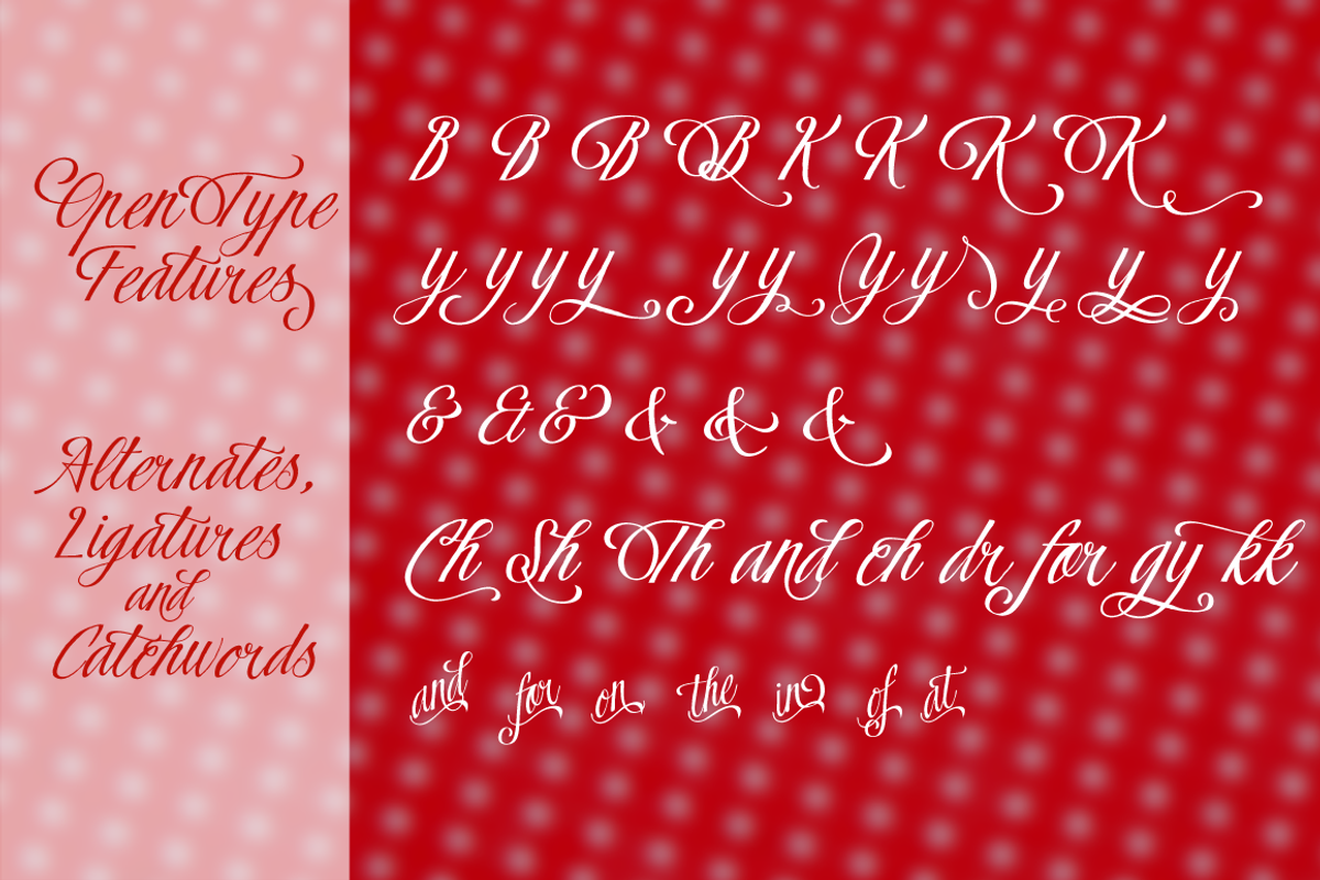 Flamenca Regular preview 4