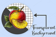 Whimsical Summer Fruits Clipart PNG, an Illustration by Canvas Craft (Thumbnail 2 of 7)