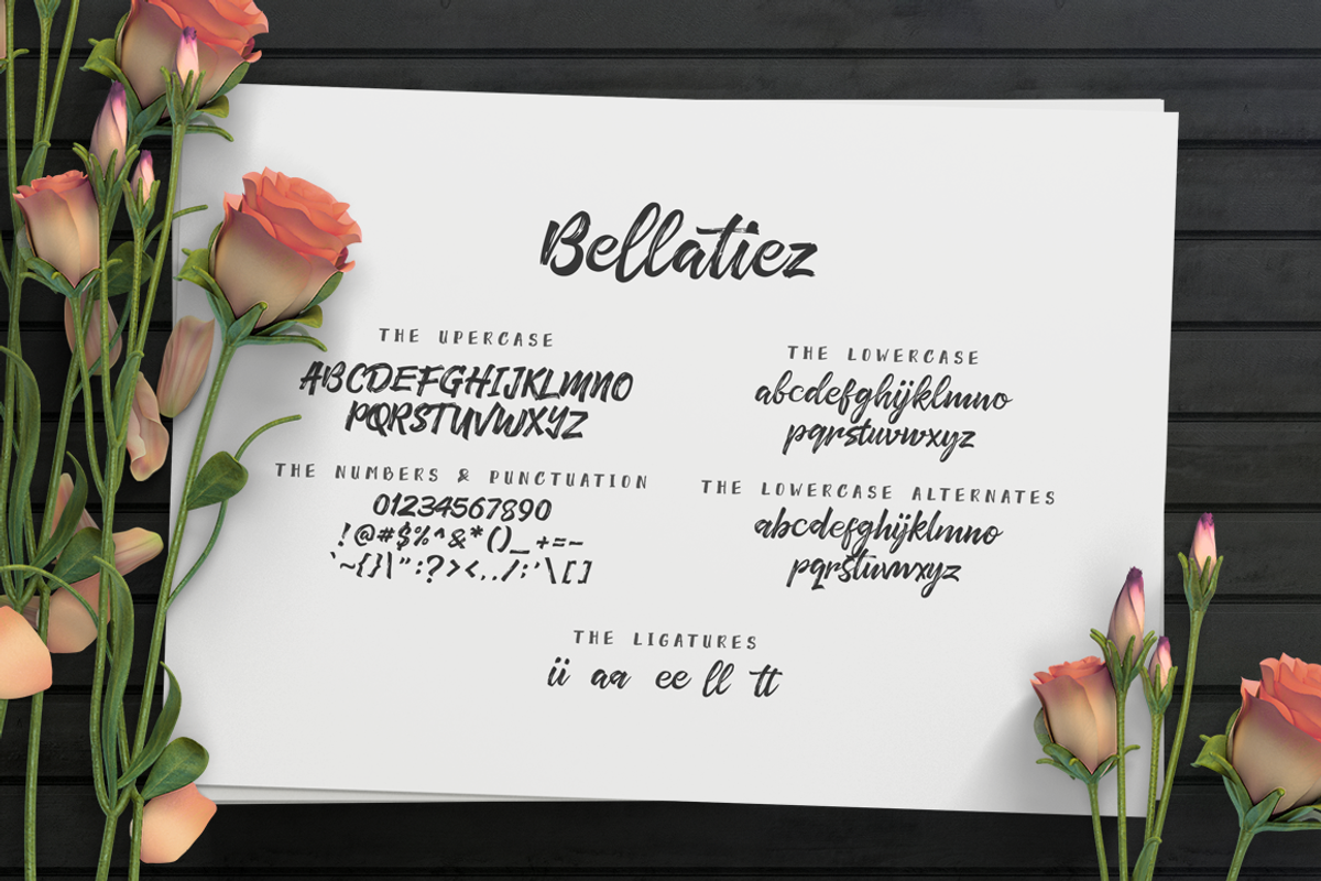 Bellatiez Font Duo + Bonus preview 5