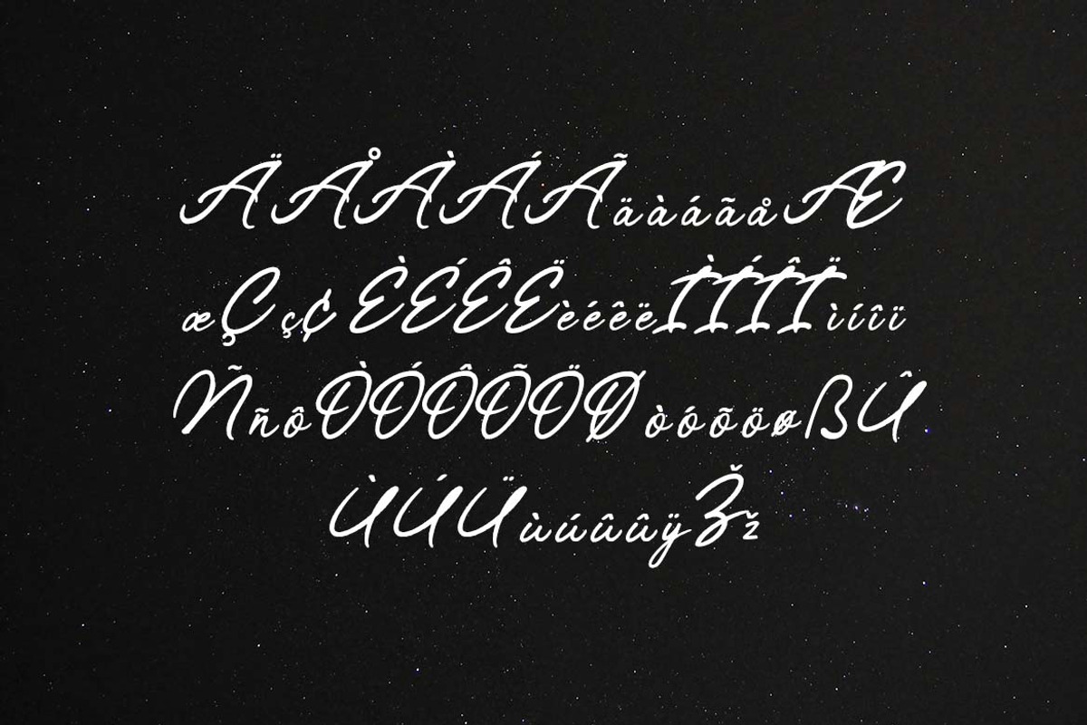 Tropical Streamline Handwritten Font, a Handwritten Font by UICreative (Photo 10 of 13)
