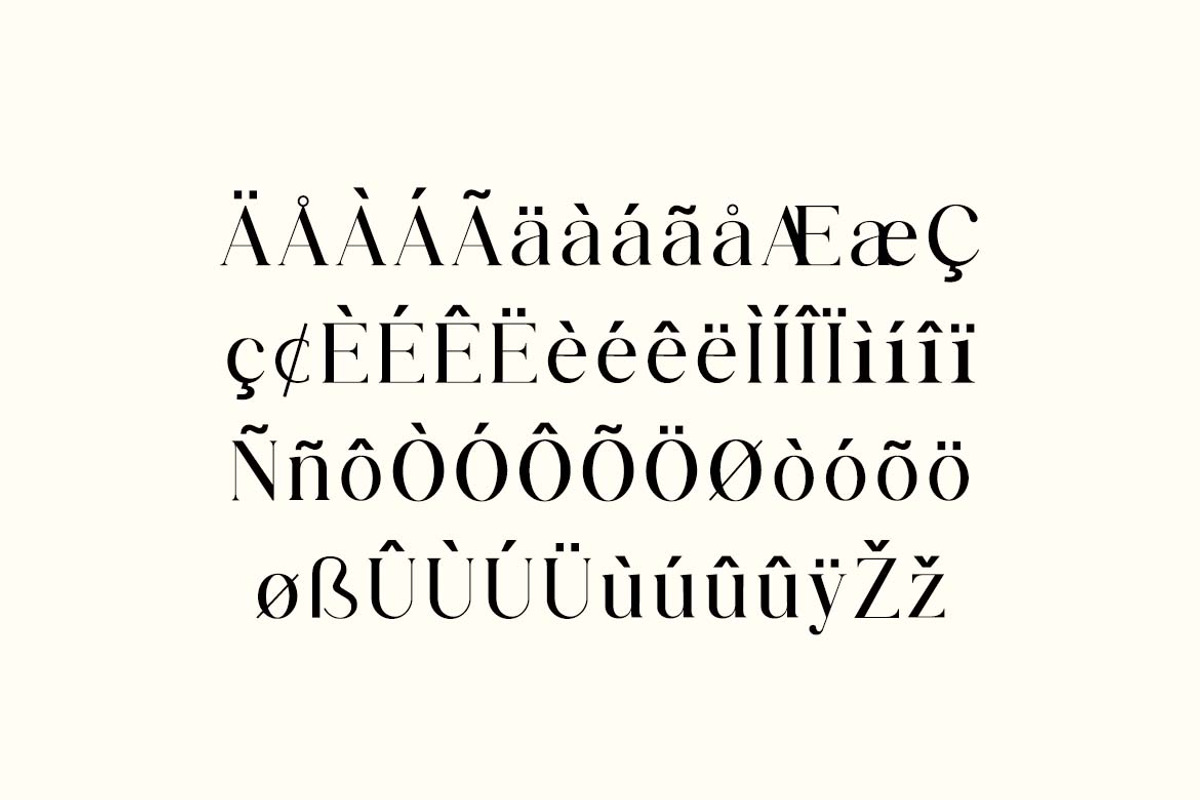 Modest Steady Display Serif Font, a Serif Font by UICreative (Photo 10 of 13)
