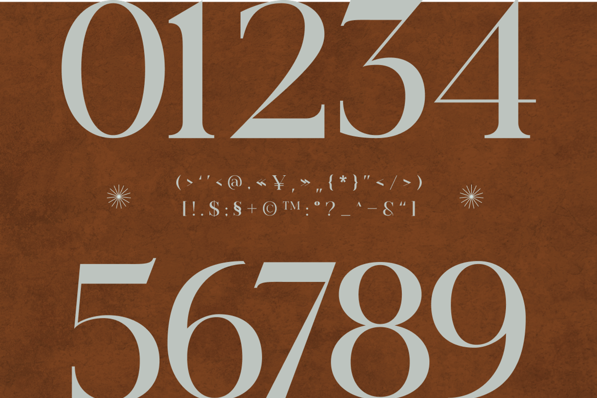 Arceloni Elegance Serif Font, a Serif Font by Vadovastd (Photo 3 of 11)