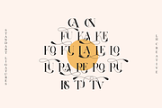 Roland Bryon Display, a Serif Font by LuhopCreative (Thumbnail 5 of 18)