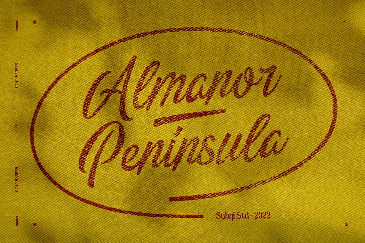 Almanor Peninsula, a Script Font by Subqi Std (Photo 1 of 9)