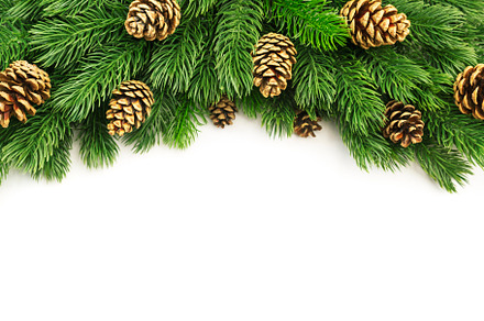 Christmas and New Year background with green spruce branches, co, a Holiday Photo by 5PH