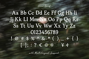Tjiwidej Heritage – Serif & Script, a Script Font by Creacy Studio (Thumbnail 9 of 9)