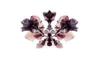 Heum Co. Botanical Inkblot Art, a Decorative Illustration by milatovar (Thumbnail 19 of 20)