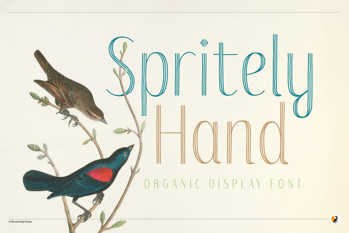 Spritely Hand — Organic Display Font, a Handwritten Font by Kevin Foley Fonts (Photo 1 of 11)