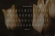 Anora Carmeo | Display Elegant Serif, a Font by gracetype_studio (Thumbnail 12 of 12)
