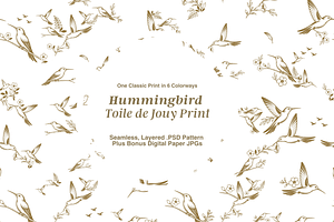 Hummingbird Illustrated Toile Print