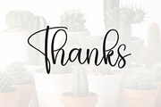 Cactus | Script Font, a Handwritten Font by Scratchones (Thumbnail 9 of 9)