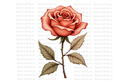 Mixed Bundle - Terracotta Flowers, a Decorative Illustration by Bloom Craft Creations (Thumbnail 2 of 20)