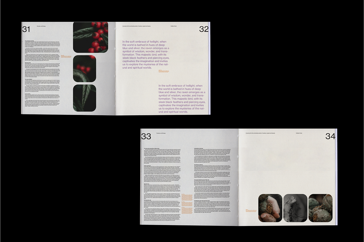 Square Book 12x12 Bound-in inserts, a Magazine Template by an-arketype studio. (Photo 7 of 8)