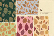 Herbarium: Pressed autumn leaves, a Seasonal Illustration by dlinnaya (Thumbnail 3 of 6)
