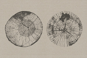 Tree Stump Textures - Vector & PNG