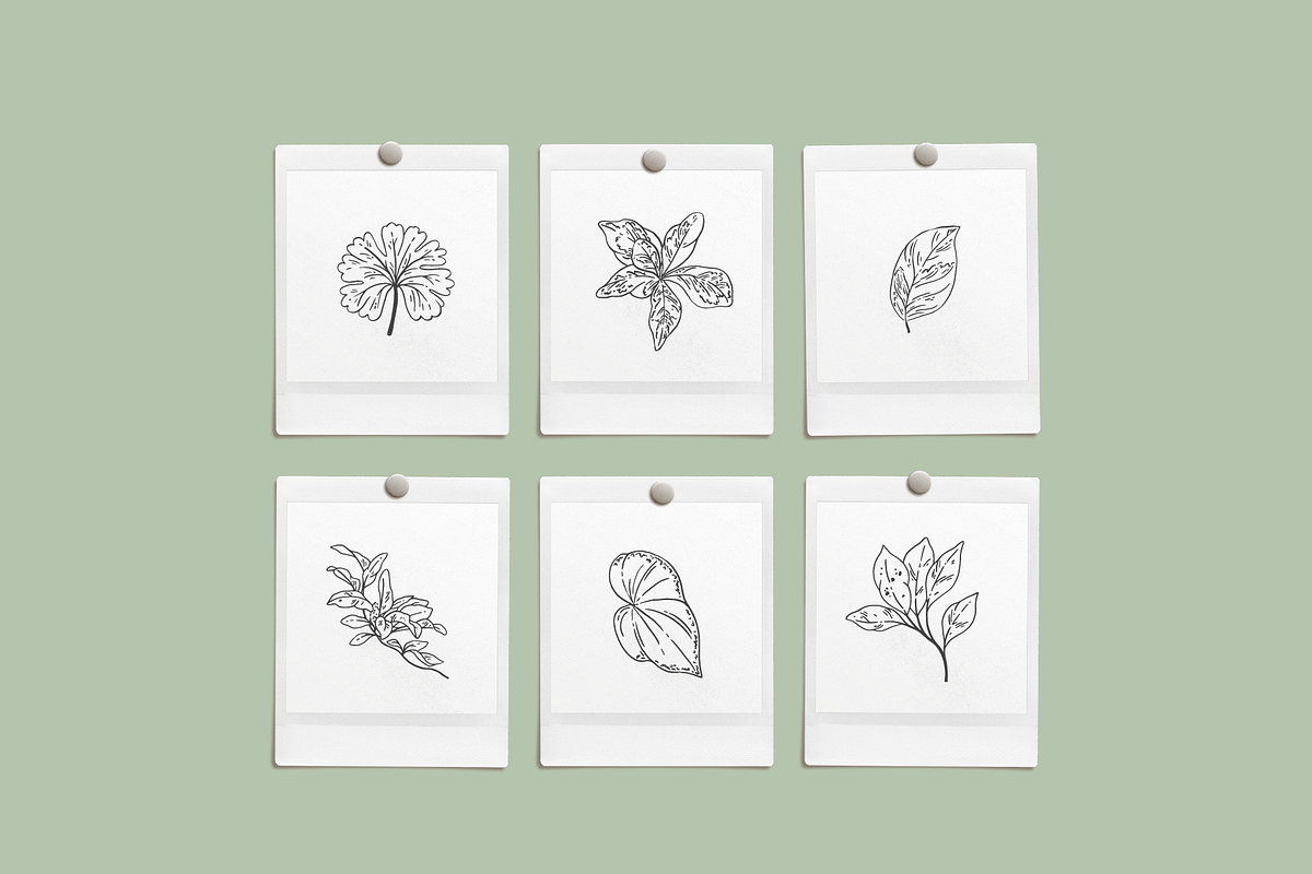 Greenery Sketchbook Illustrations, a Decorative Illustration by Emma Webb Studio (Photo 4 of 7)