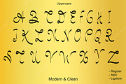 Handwriting Handwritten Script Font, a Handwritten Font by jastudio123 (Thumbnail 4 of 9)