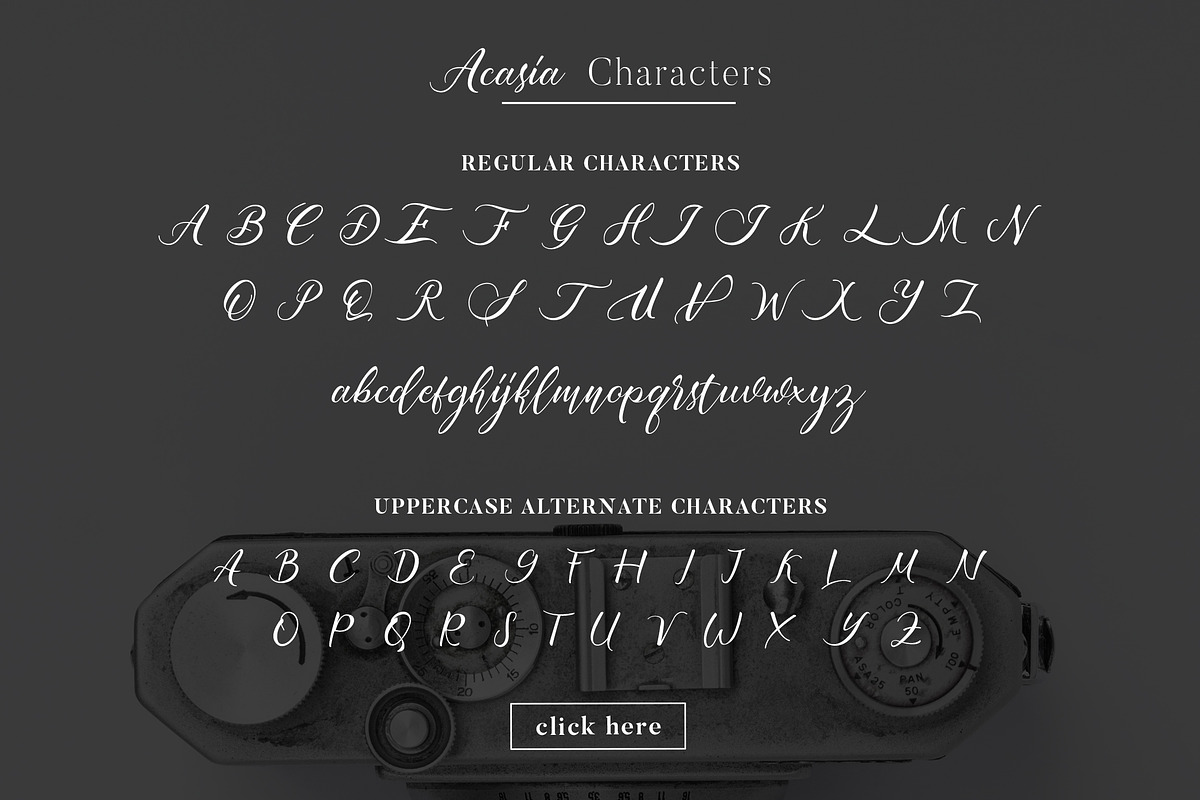 Acasia, a Script Font by Bokuto Studio (Photo 10 of 10)