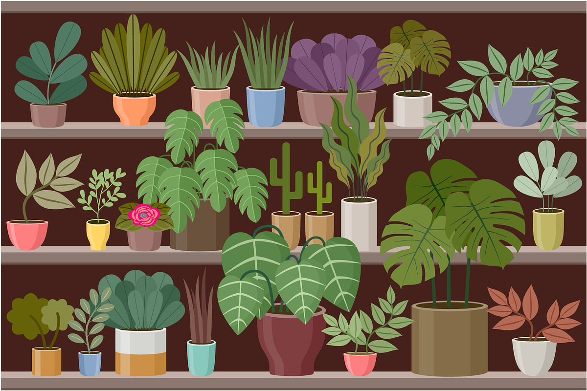 Flower and Home Plant Store, a Decorative Illustration by Gurza SHOP (Photo 5 of 8)