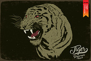 Tiger - Vector illustration, an Animal Illustration by Artistic & Unique (Thumbnail 1 of 10)