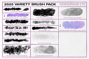 2025 Variety Brush Pack - Photoshop, a Brushes & More by David Creighton-Pester (Thumbnail 3 of 4)