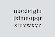 Stylebooks Typeface Serif Font, a Serif Font by UICreative (Thumbnail 5 of 13)