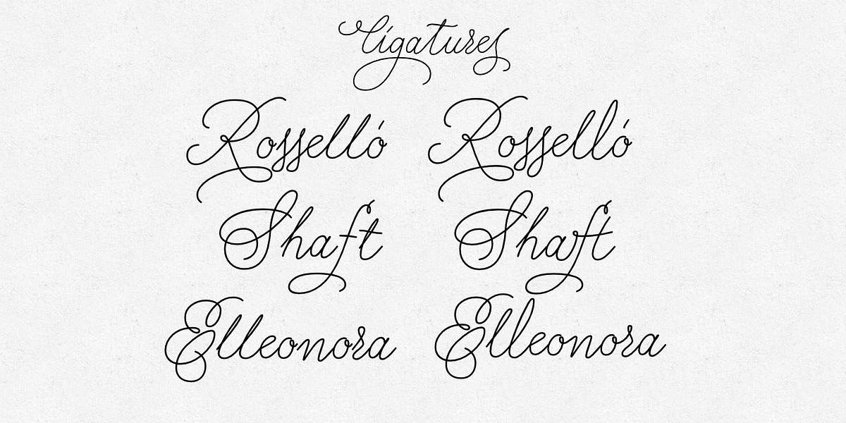 Charlize, a Script Font by GRIN3 (Nowak) (Photo 5 of 5)