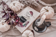 Glam Halloween Season of the Witch, a Seasonal Illustration by Catch the Dream Art (Thumbnail 2 of 10)