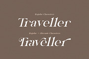 Novembra Serif Font Duo, a Serif Font by Salt & Pepper Designs (Thumbnail 7 of 11)