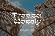 Wasely Modern Classic Font, a Serif Font by Muntab_Art (Thumbnail 3 of 11)