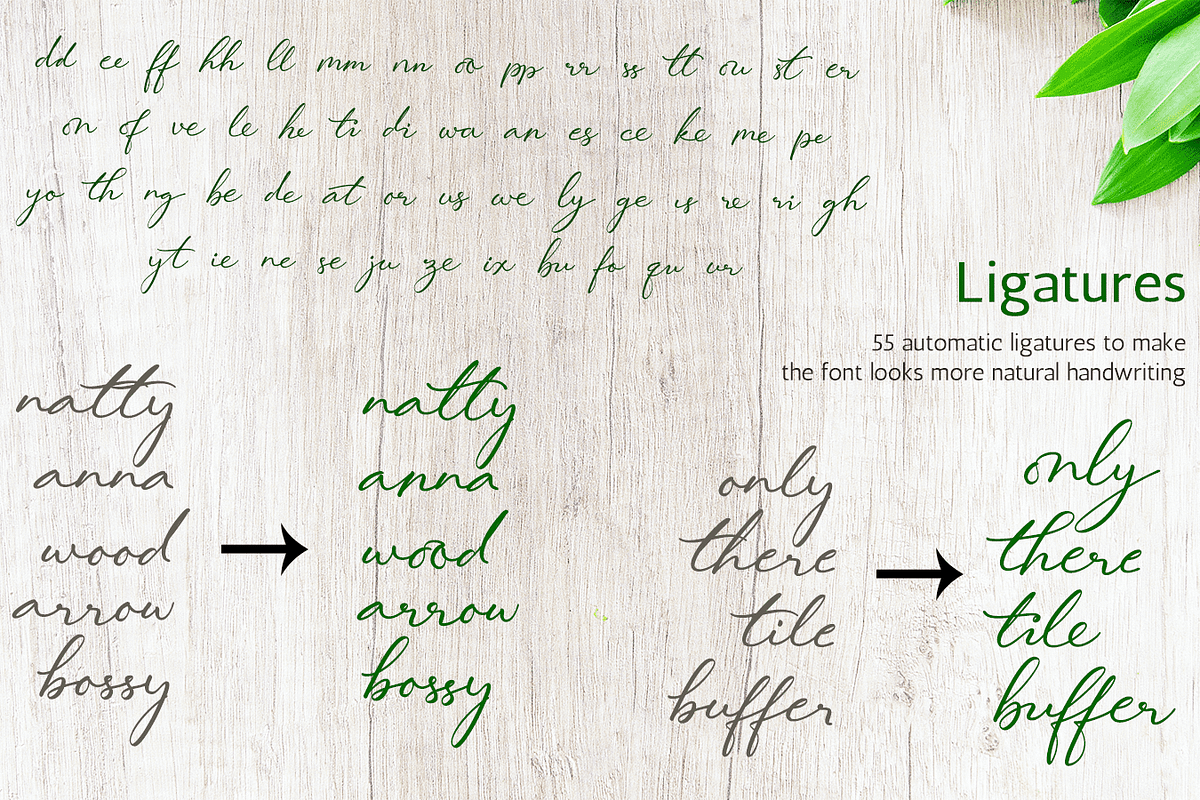 Lovely Hydrillas Font, a Script Font by Letterhanna Studio (Photo 6 of 20)