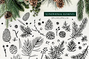 Pine forest line art collection, an Illustration by AfonshinaArt (Thumbnail 8 of 9)