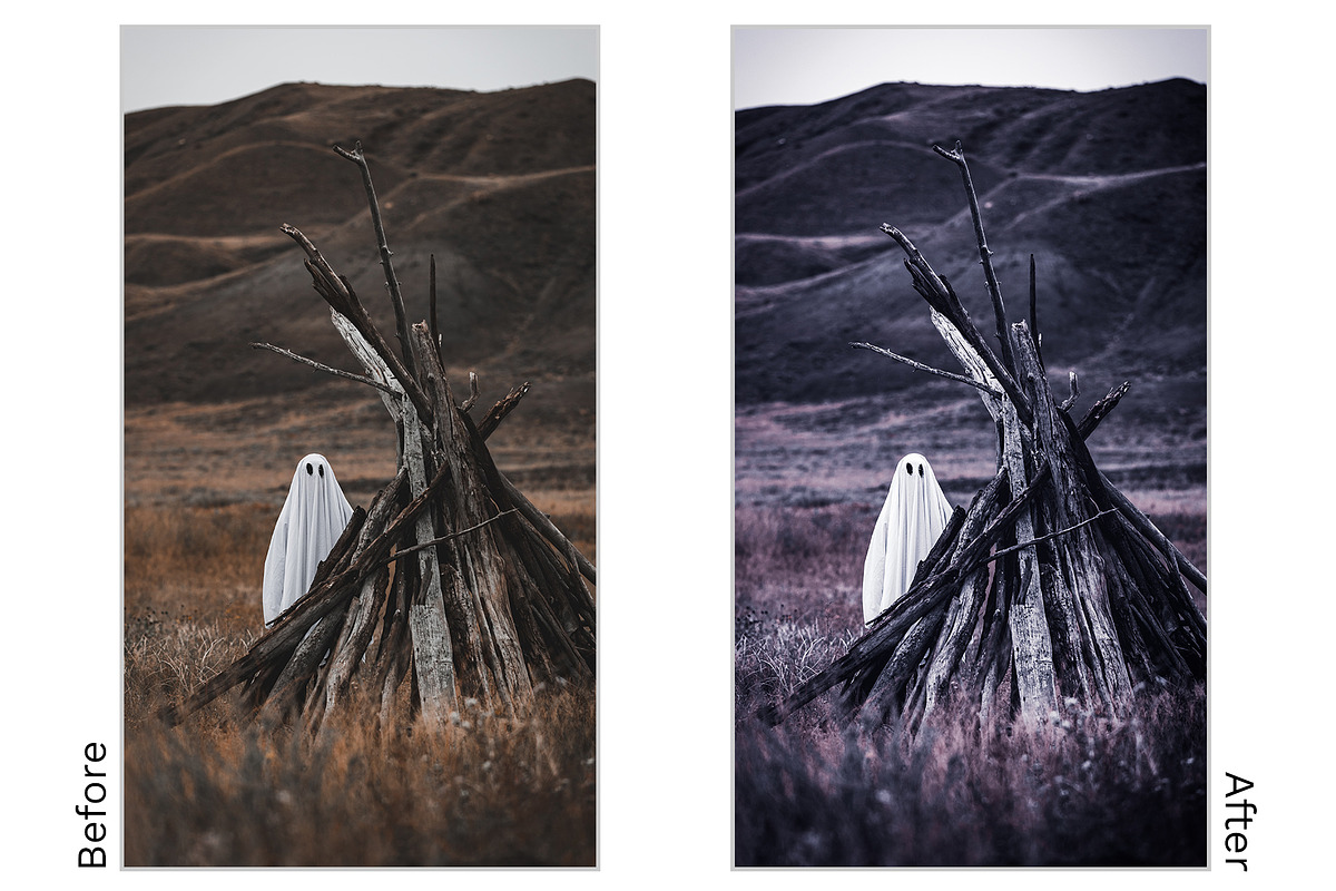 Lightroom Preset - Black Cat, an Action Add-On by Design Aesthetic (Photo 3 of 12)
