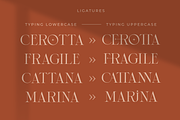 Cerotta, a Serif Font by zeenesia (Thumbnail 7 of 17)