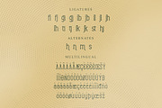 Magistan Modern Display Font, a Slab Serif Font by Storytype Studio (Thumbnail 14 of 15)