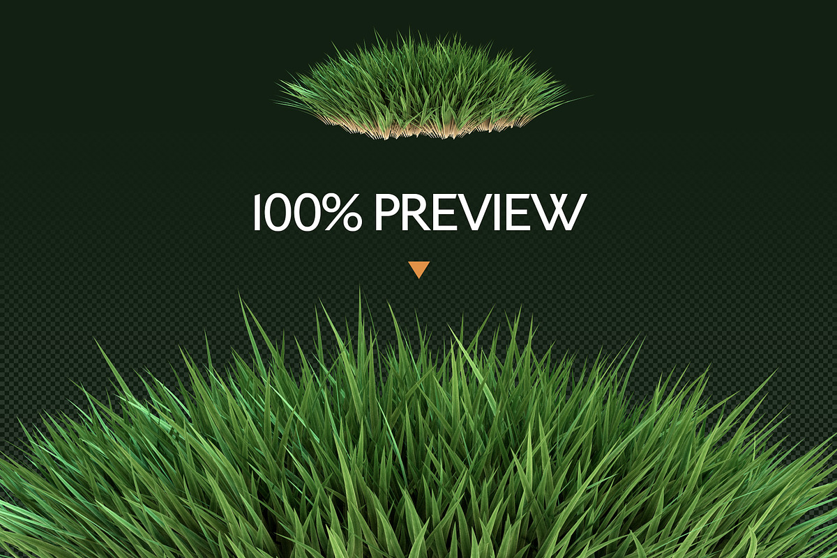Grass Brushes for PS and PNGs, a Brush Add-On by Creative Graphics (Photo 3 of 6)